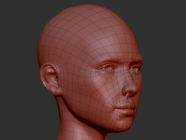 Anatomy Female 3d Model