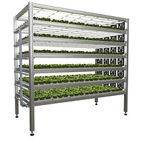 Vertical farm hydroponic