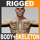 maya rigged human male body