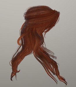 female hairstyle long hair model