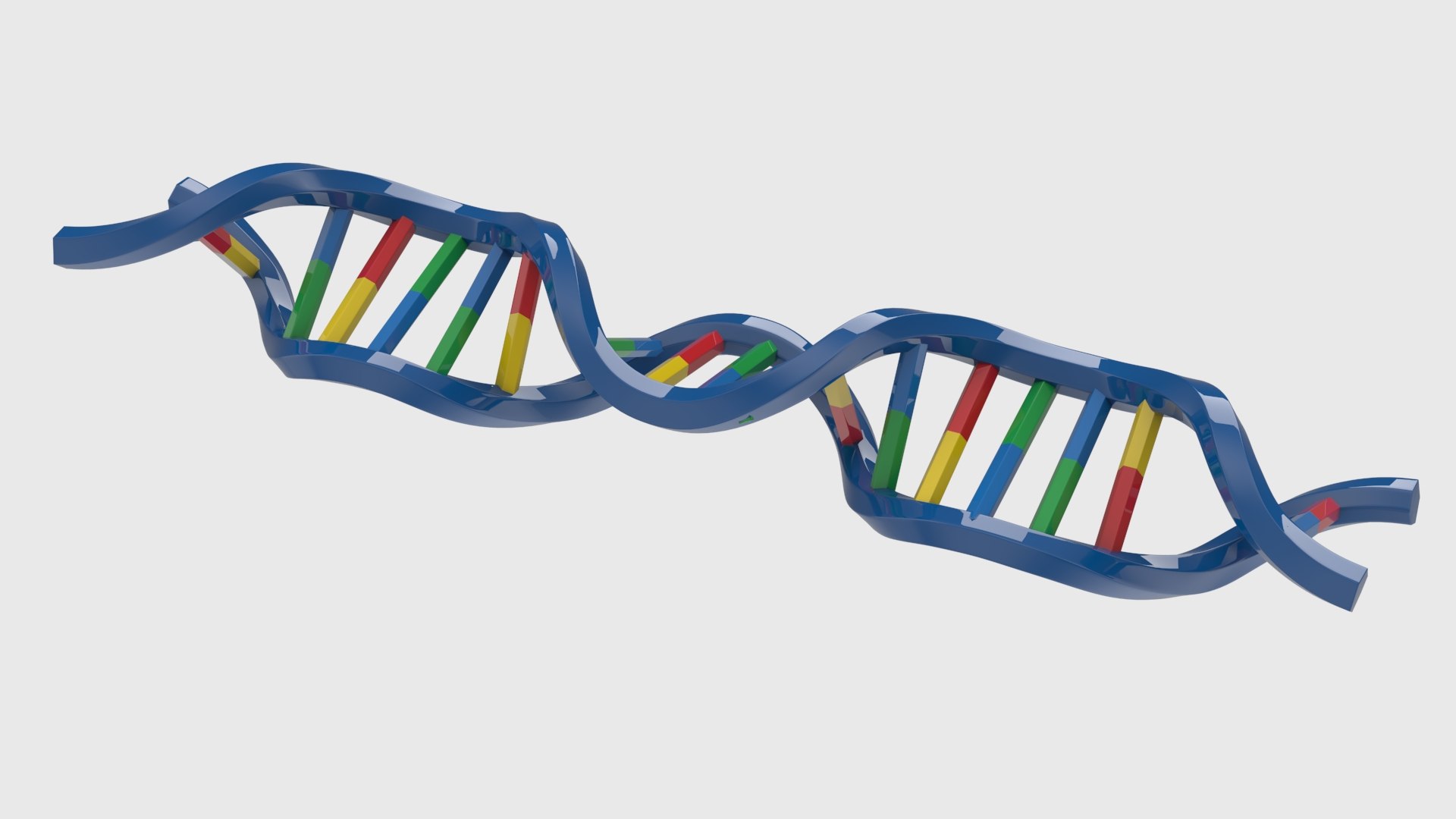 3D Structure Of DNA Model - TurboSquid 2432613