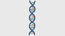 Structure of DNA