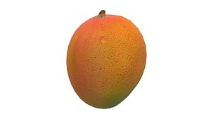 3D model Mango Fruit 3D Model AR VR PBR