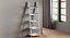 Ricardo Ladder Bookcase