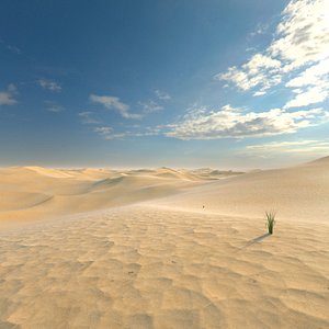 Desert Sahara
