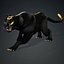 Schwarzer Panther-A1