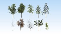 Lowpoly trees pack