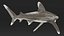Realistic Oceanic Whitetip Shark Rigged