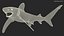 Realistic Oceanic Whitetip Shark Rigged