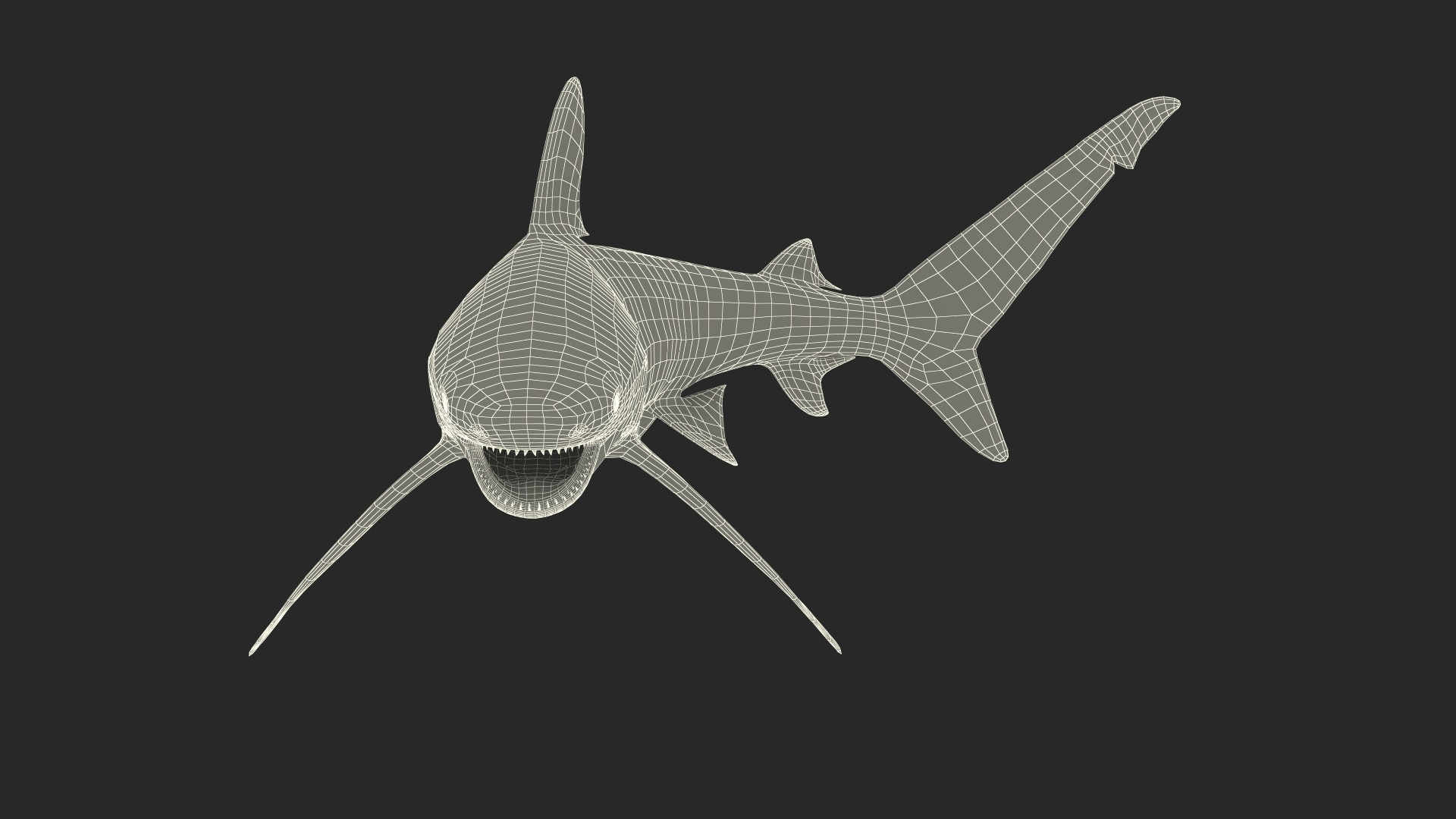 3D Realistic Oceanic Whitetip Shark Rigged https://p.turbosquid.com/ts-thumb/xE/AtHgQZ/DR/realistic_oceanic_whitetip_shark_rigged_361/jpg/1724138368/1920x1080/turn_fit_q99/906b6e322078b0025814846215314da7fe3dfa1a/realistic_oceanic_whitetip_shark_rigged_361-1.jpg