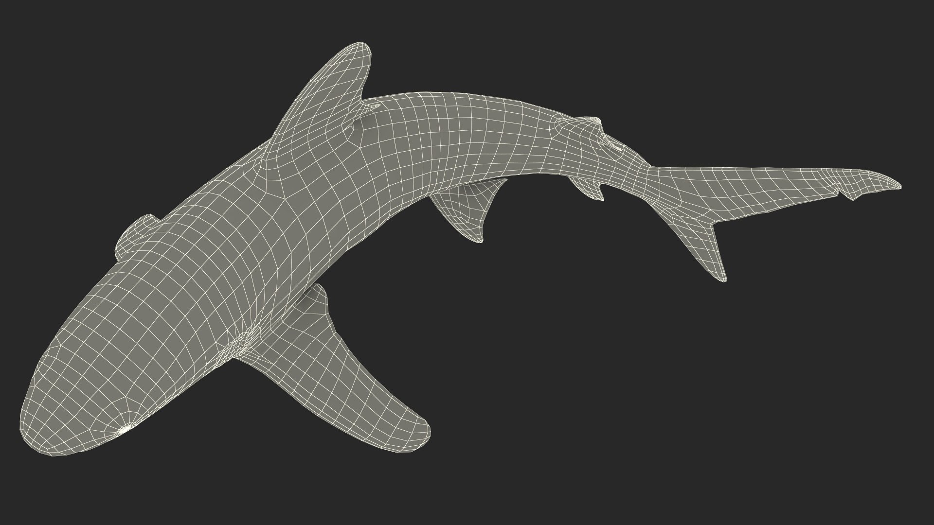 3D Realistic Oceanic Whitetip Shark Rigged https://p.turbosquid.com/ts-thumb/xE/AtHgQZ/Lt/realisticoceanicwhitetipsharkrigged3dmodel024/jpg/1724139141/1920x1080/fit_q87/d2ea002b7fe6e3a1a014eb746918ced0ad8754d7/realisticoceanicwhitetipsharkrigged3dmodel024.jpg