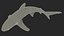 Realistic Oceanic Whitetip Shark Rigged