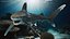 Realistic Oceanic Whitetip Shark Rigged