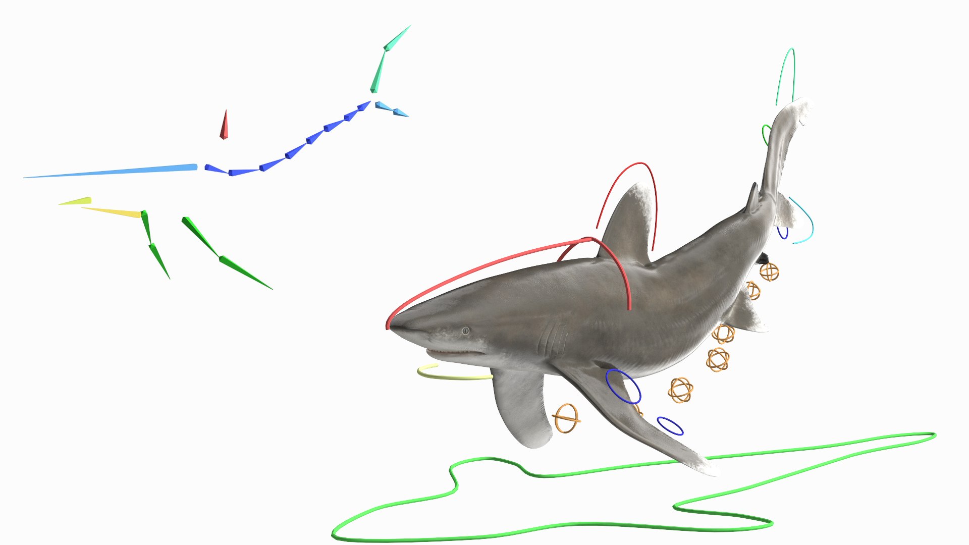 3D Realistic Oceanic Whitetip Shark Rigged https://p.turbosquid.com/ts-thumb/xE/AtHgQZ/Rp/realisticoceanicwhitetipsharkrigged3dmodel002/jpg/1724139028/1920x1080/fit_q87/d31991c38866a3837771d9c47740262221c97652/realisticoceanicwhitetipsharkrigged3dmodel002.jpg