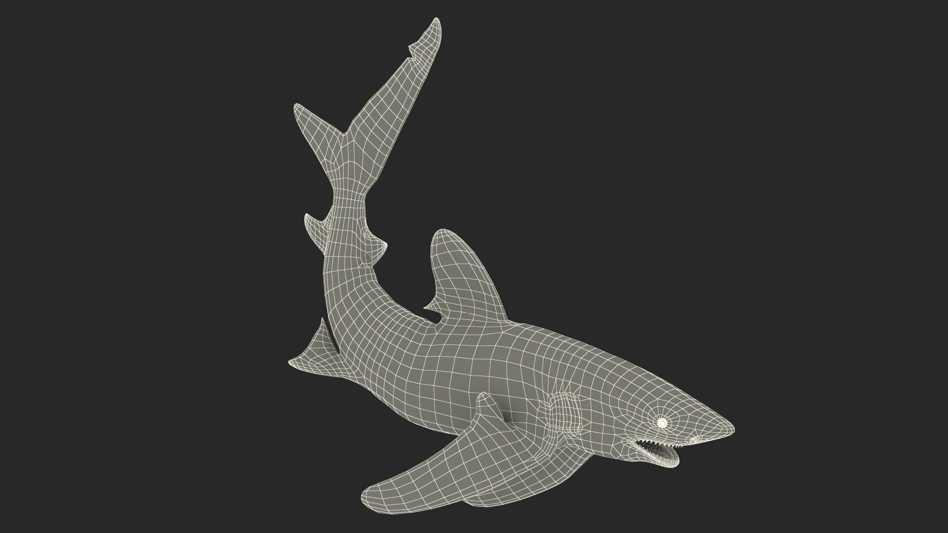 3D Realistic Oceanic Whitetip Shark Rigged https://p.turbosquid.com/ts-thumb/xE/AtHgQZ/TE/realisticoceanicwhitetipsharkrigged3dmodel027/jpg/1724139156/1920x1080/fit_q87/0e231879954916ba1a0efa4e9a2595c42c4b5a95/realisticoceanicwhitetipsharkrigged3dmodel027.jpg