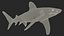 Realistic Oceanic Whitetip Shark Rigged