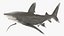 Realistic Oceanic Whitetip Shark Rigged