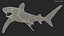 Realistic Oceanic Whitetip Shark Rigged