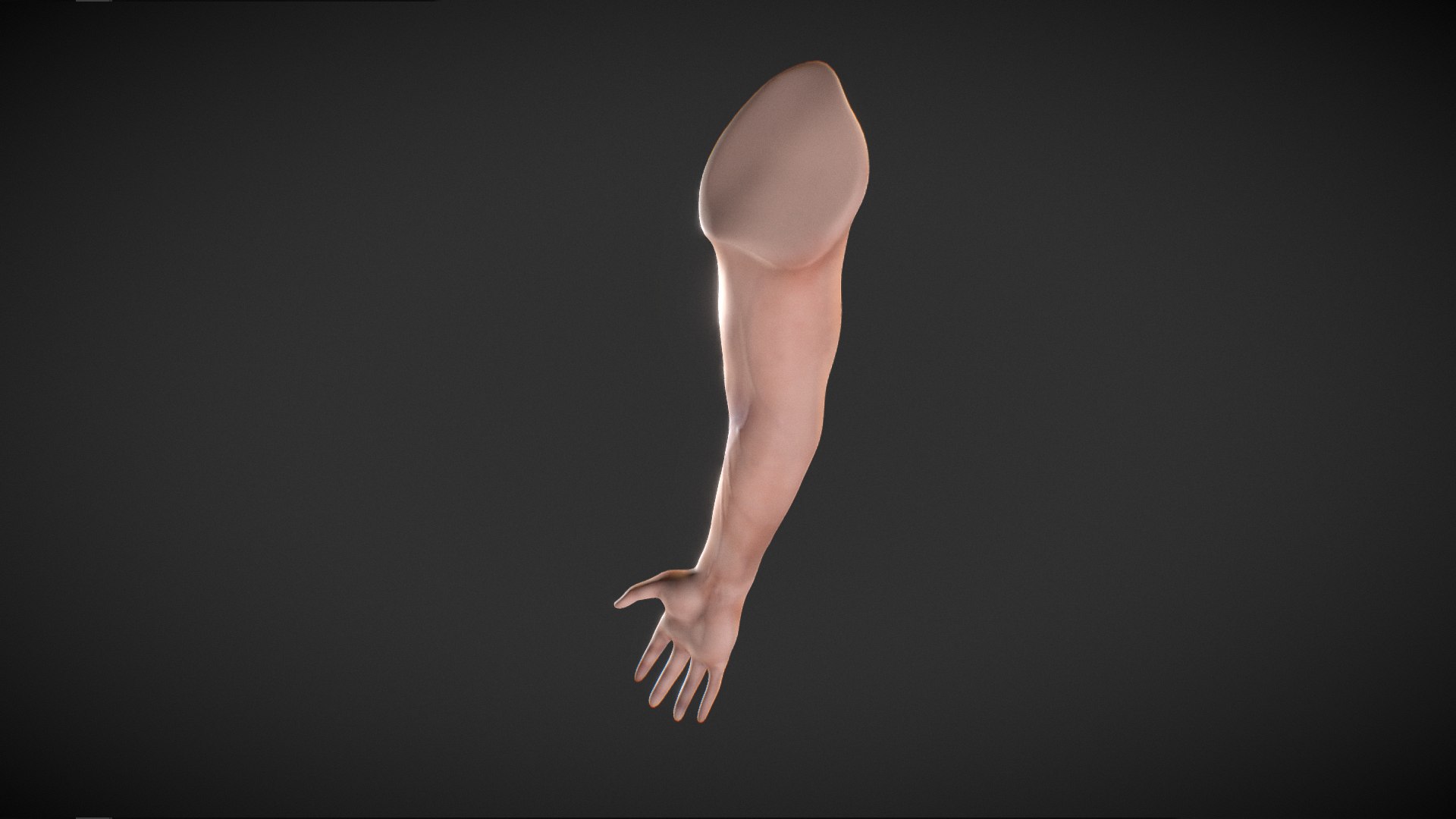 Human Male Arm - Base Mesh 3D Model - TurboSquid 1843582