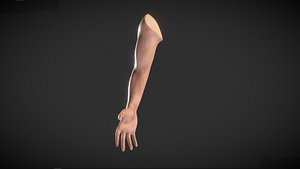 Human Male Arm - base mesh