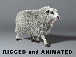 max - rigged animation