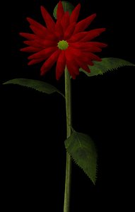 3d plant flower model