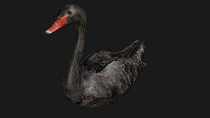 rigged games 3D