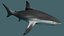 3D Shark OBJ