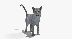 rigged domestic cat 3d max