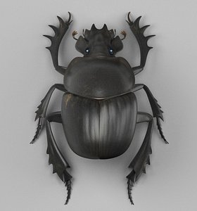 Dung Beetle