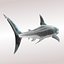 Carcharodon carcharias/megalodon