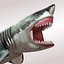 Carcharodon carcharias/megalodon