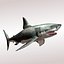Carcharodon carcharias/megalodon