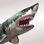 Carcharodon carcharias/megalodon