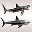 Carcharodon carcharias/megalodon