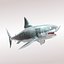 Carcharodon carcharias/megalodon