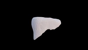 Origami human liver unfolding growing animation