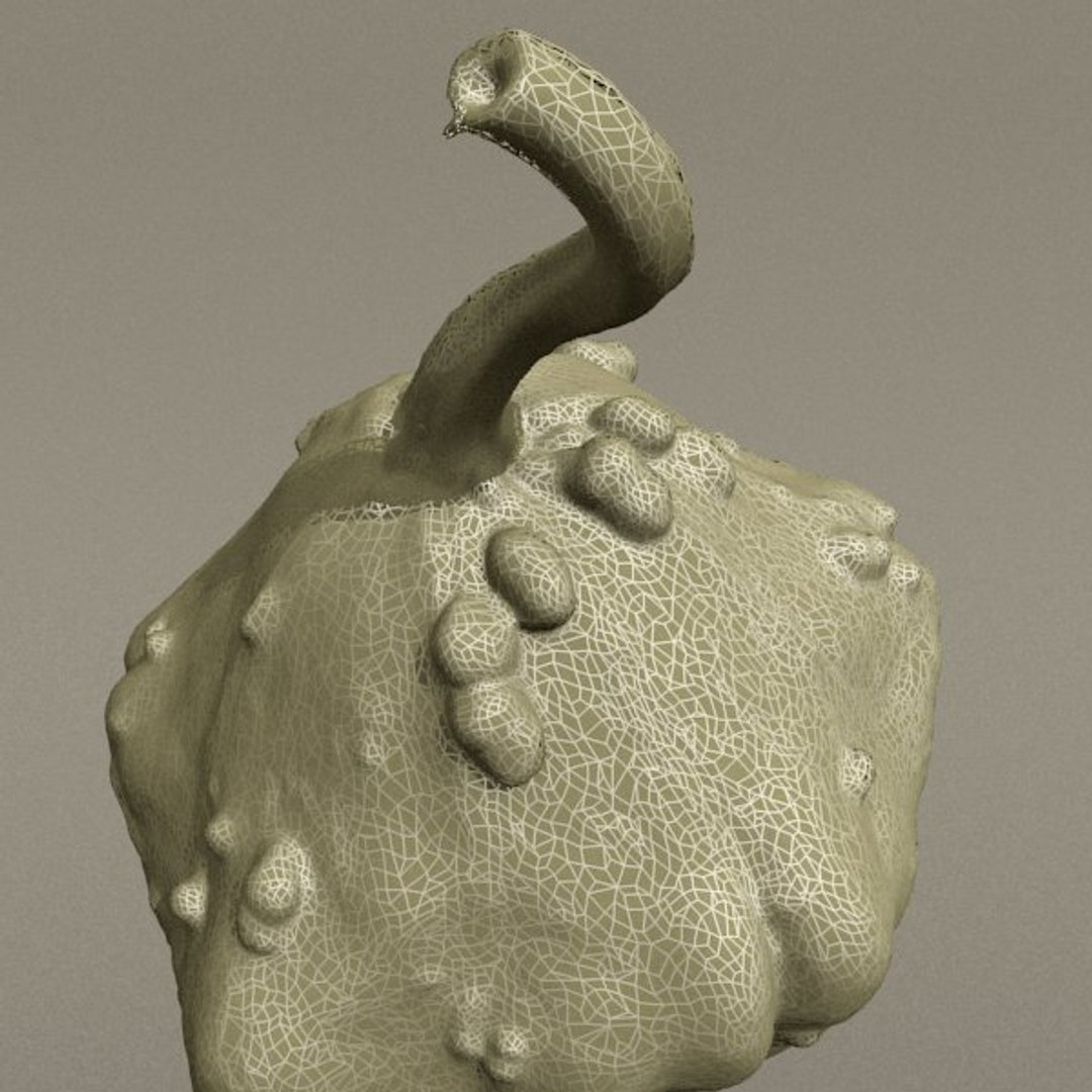 3d model pumpkin https://p.turbosquid.com/ts-thumb/xE/lgBwaz/2DtV9f0N/render8/jpg/1292853552/1920x1080/fit_q87/2e99d5dce766fe5f313d11166e62c521600567cc/render8.jpg