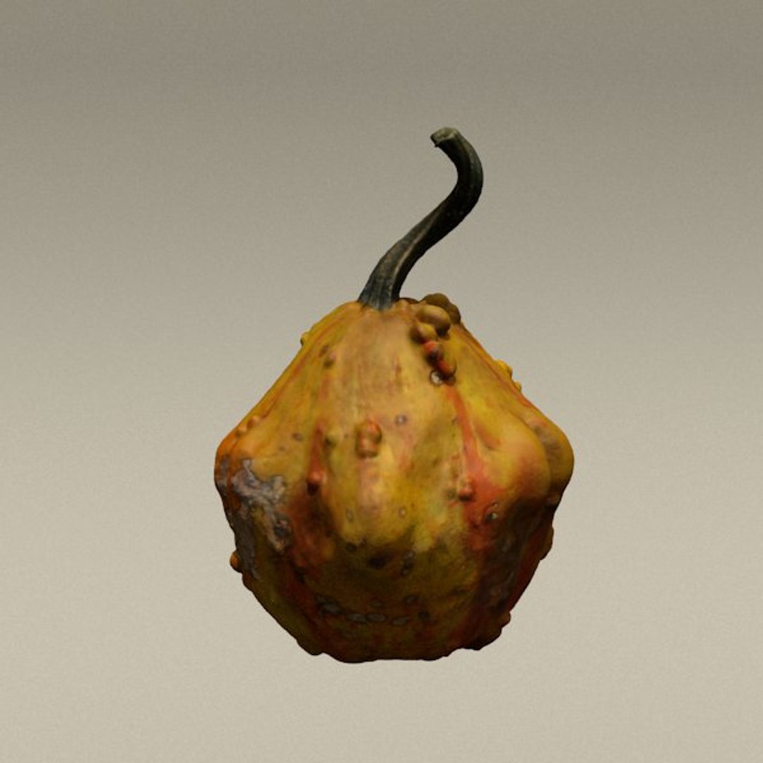 3d model pumpkin https://p.turbosquid.com/ts-thumb/xE/lgBwaz/GqakUtYS/render1/jpg/1292853552/1920x1080/fit_q87/b1d87e4c67875ad288de9bf56684d3aeb411c8d0/render1.jpg