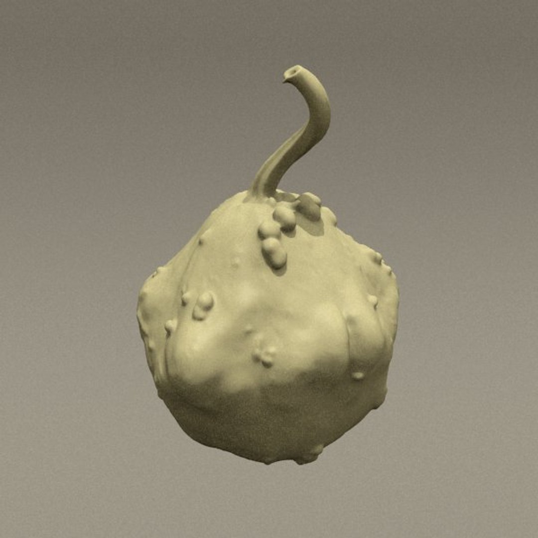3d model pumpkin https://p.turbosquid.com/ts-thumb/xE/lgBwaz/pbwY6gNb/render6/jpg/1292853552/1920x1080/fit_q87/6bcfb55acc8cb9895cef7e2b80a7dc3be62bca4d/render6.jpg