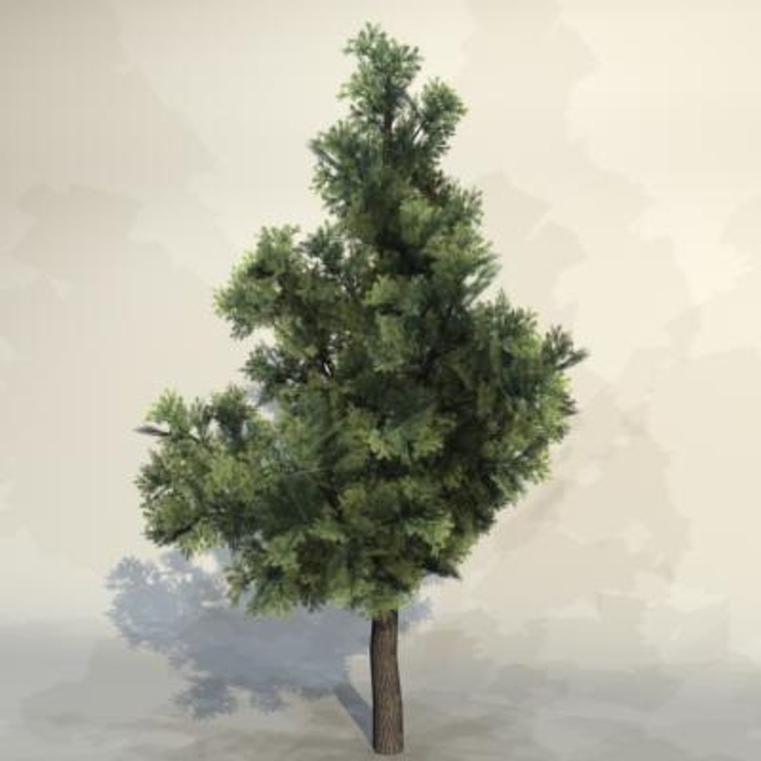 Pc Tree Max