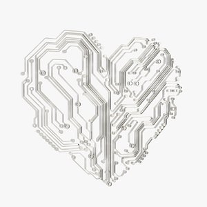 Heart