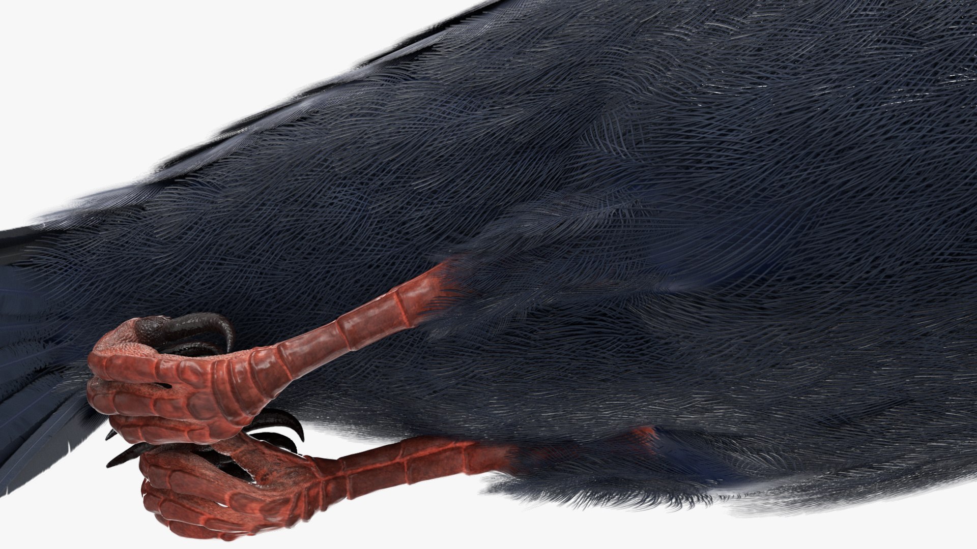 3D Purple Martin Bird In Flight https://p.turbosquid.com/ts-thumb/xF/2Wfa93/3x/purple_martin_bird_in_flight_007/jpg/1757932830/1920x1080/fit_q87/b0d9216fa40be3dd975d41b25c67f36ab71e12c2/purple_martin_bird_in_flight_007.jpg