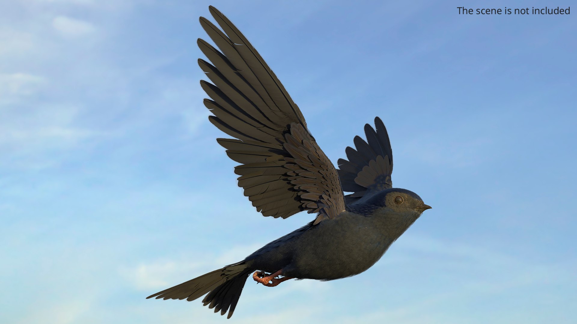 3D Purple Martin Bird In Flight https://p.turbosquid.com/ts-thumb/xF/2Wfa93/Gm/purple_martin_bird_in_flight_002/jpg/1757932814/1920x1080/fit_q87/0ef6bc304783be2b618b873f39da71ebeb1b3e81/purple_martin_bird_in_flight_002.jpg
