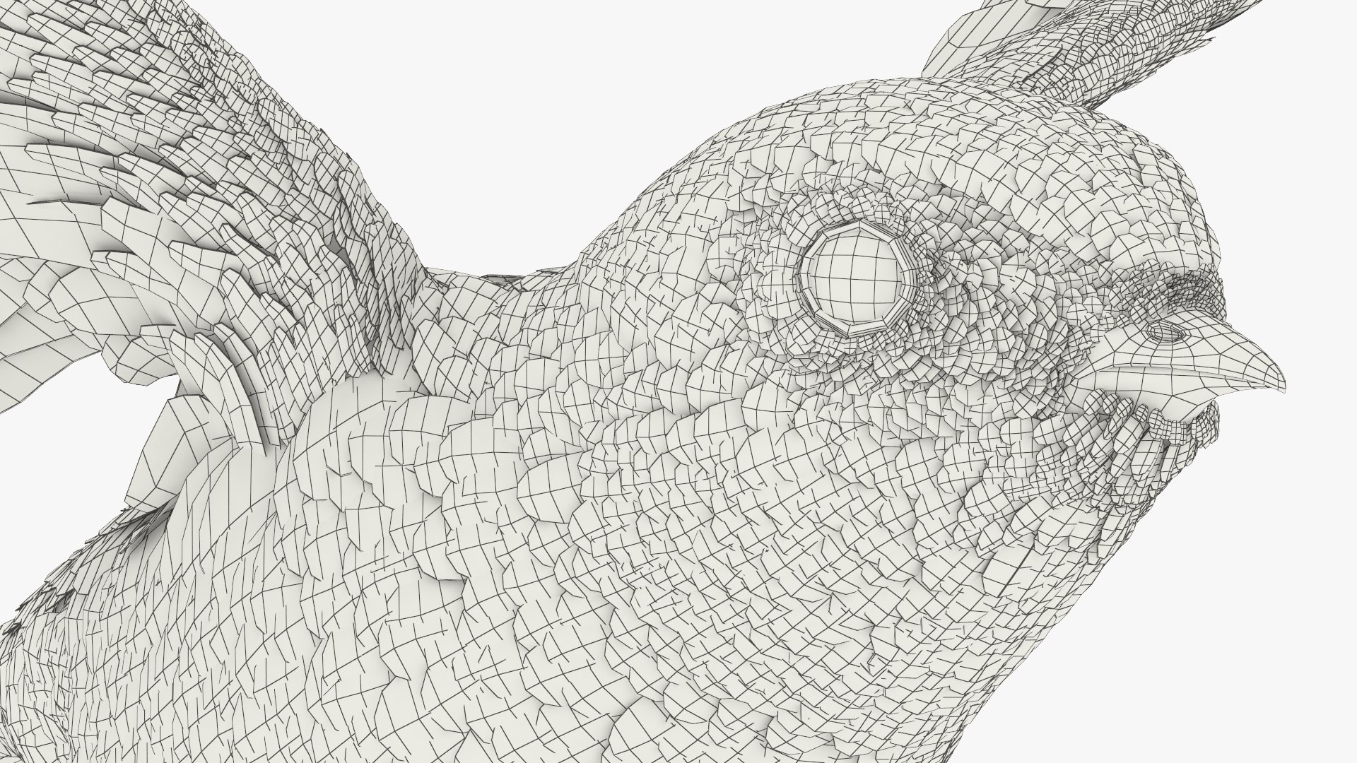 3D Purple Martin Bird In Flight https://p.turbosquid.com/ts-thumb/xF/2Wfa93/MR/purple_martin_bird_in_flight_011/jpg/1757932842/1920x1080/fit_q87/034d69c49d6434517bdae8b10272e5e785fa6b41/purple_martin_bird_in_flight_011.jpg