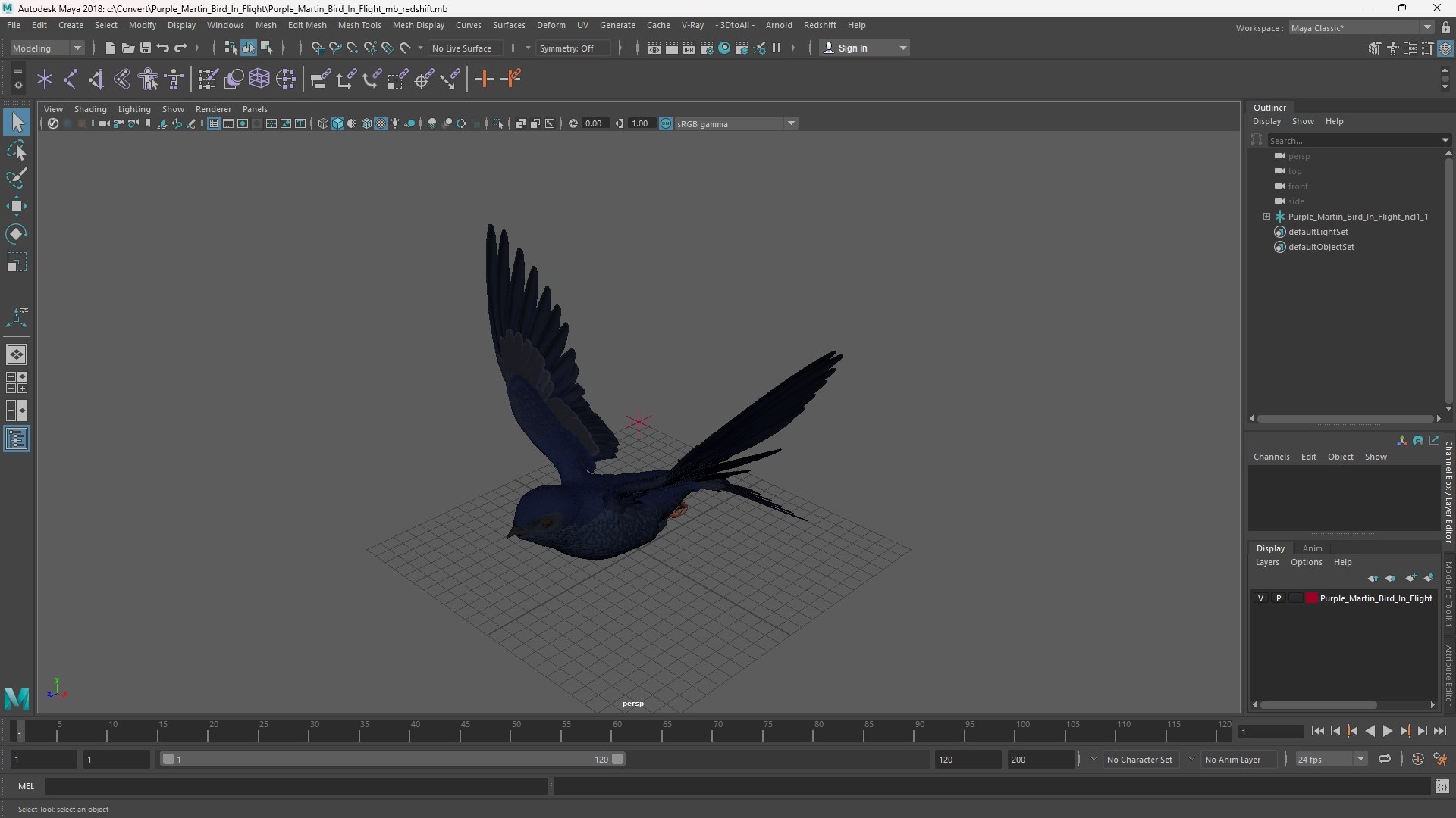 3D Purple Martin Bird In Flight https://p.turbosquid.com/ts-thumb/xF/2Wfa93/TN/purple_martin_bird_in_flight_1002/jpg/1757932858/1920x1080/fit_q87/54069df32a03ed090c43cef56ae9b7d3cbd4648f/purple_martin_bird_in_flight_1002.jpg