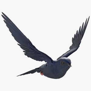 3D Purple Martin Bird In Flight