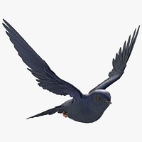 Purple Martin Bird In Flight