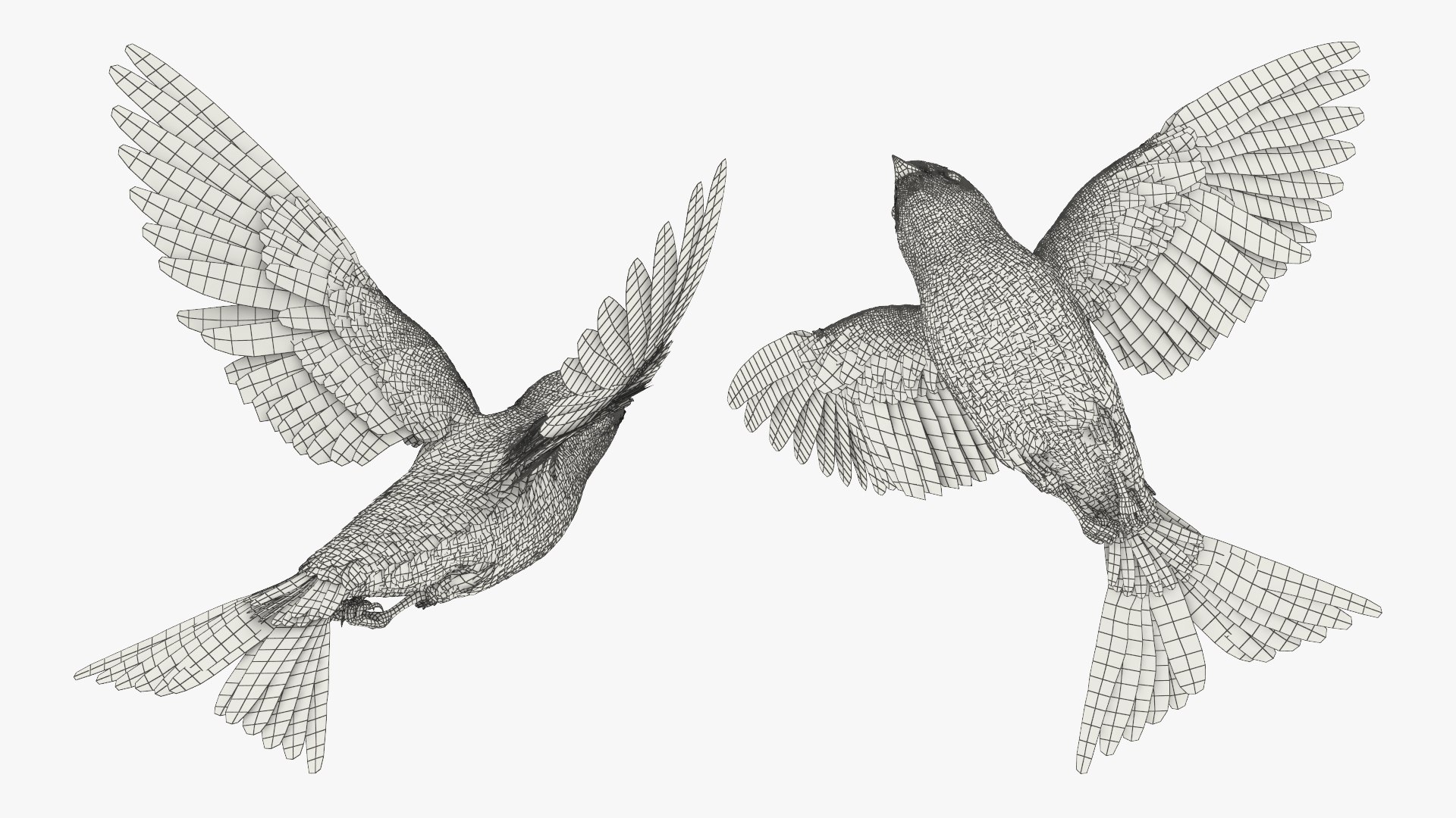 3D Purple Martin Bird In Flight https://p.turbosquid.com/ts-thumb/xF/2Wfa93/su/purple_martin_bird_in_flight_010/jpg/1757932839/1920x1080/fit_q87/b740e87c87a79920f9d38ad61f06bfa21a538b0e/purple_martin_bird_in_flight_010.jpg