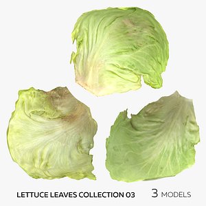 Lettuce Leaves Collection 03 - 3 models 3D model